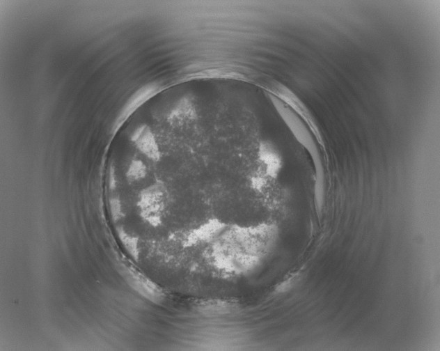 X0000078031002200611171934