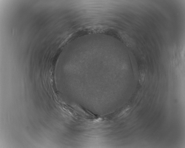 X0000078031010200611171933