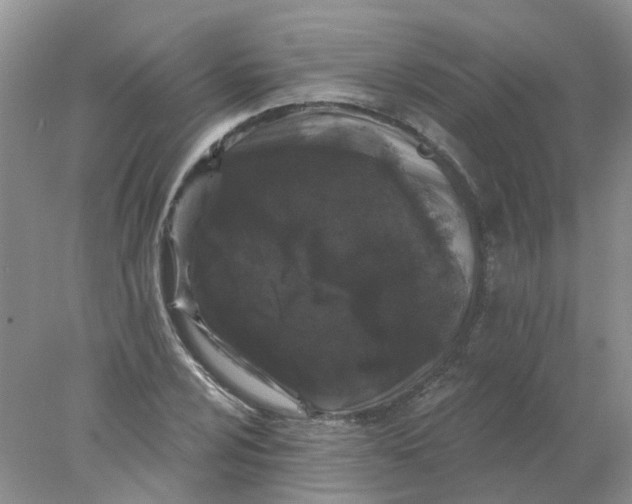 X0000078031024200611171933