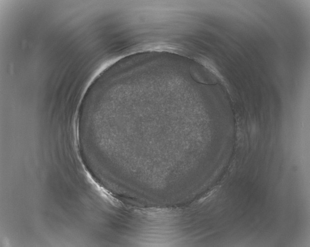 X0000078031032200611171933