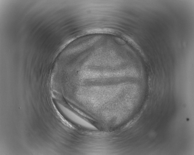 X0000078031033200611171933