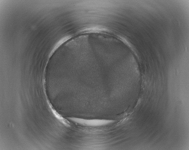 X0000078031042200611171934