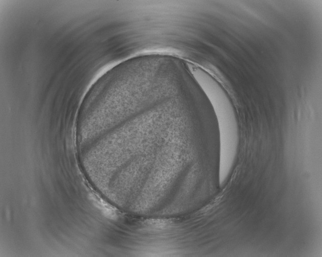 X0000078031044200611171934