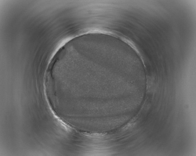 X0000078031048200611171934