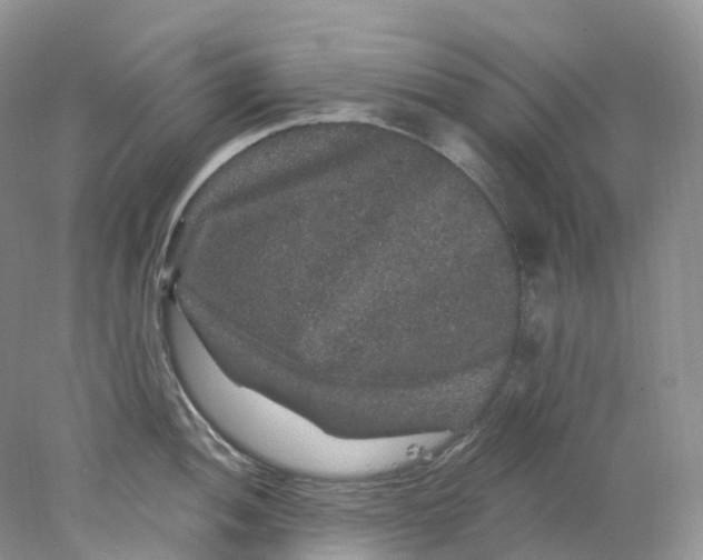 X0000078031052200611171934