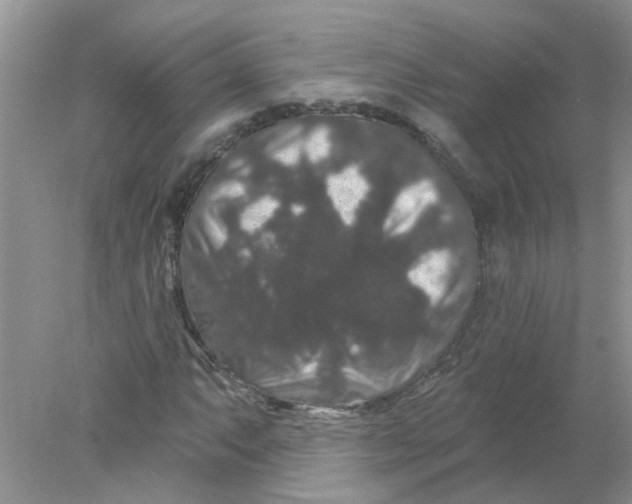 X0000078031063200611171933