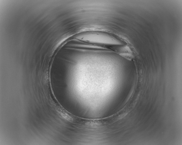 X0000078031073200611171933