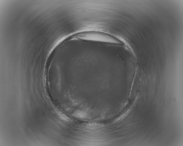 X0000078031077200611171933