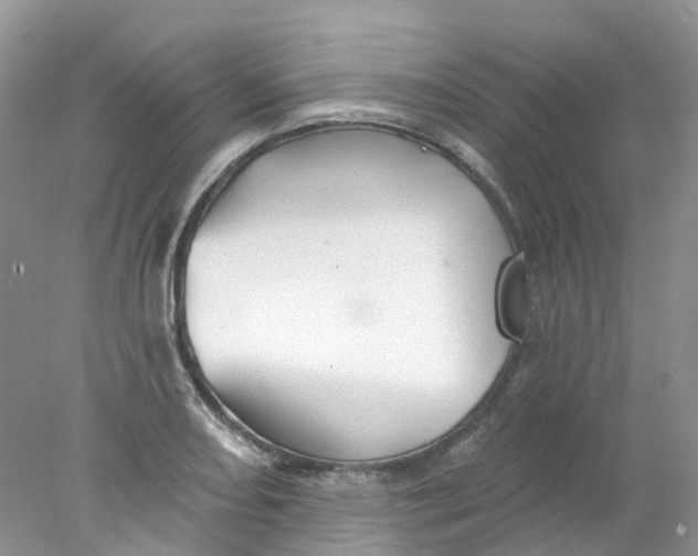 X0000078031082200611171933