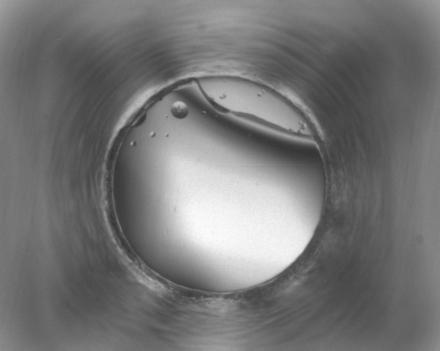 X0000078031085200611171932