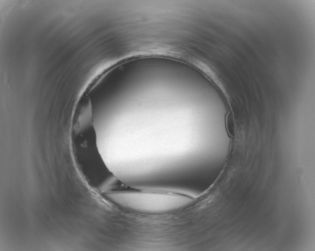 X0000078031093200611171932