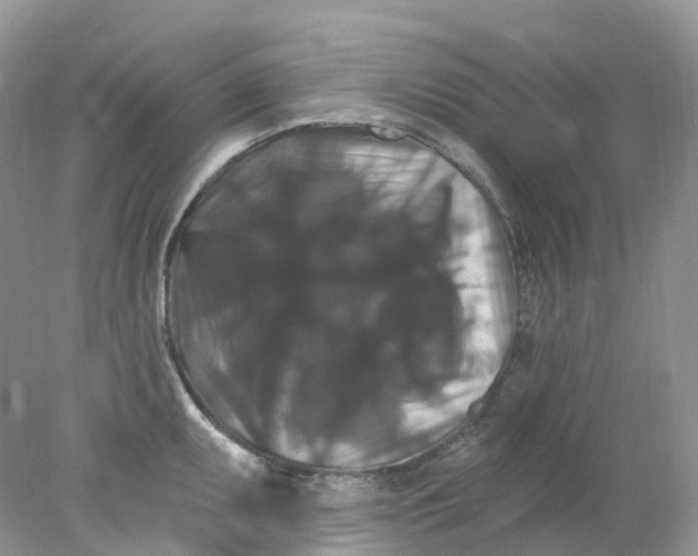 X0000078031095200611171932