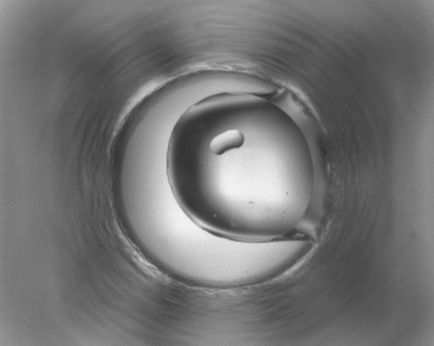 X0000078031114200611171932