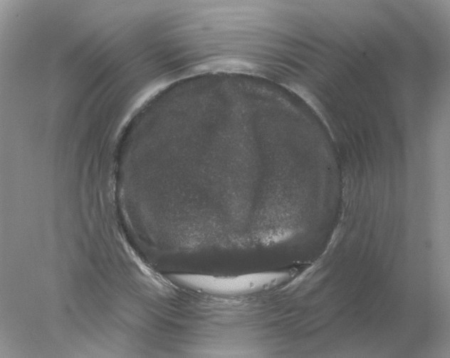 X0000078031115200611171932