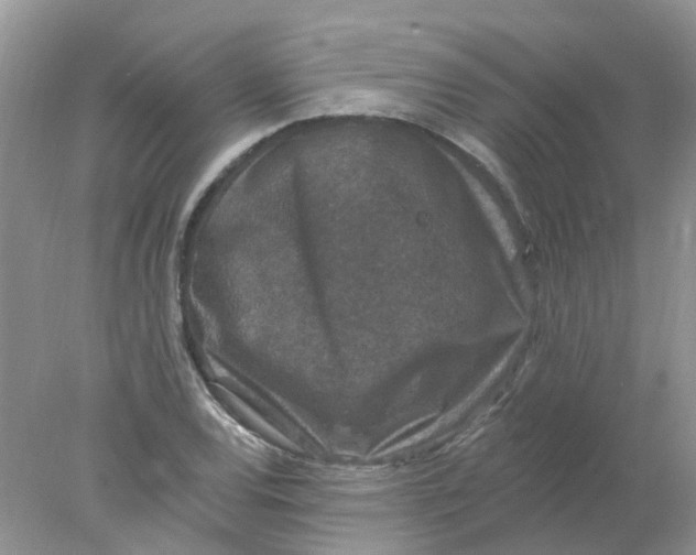 X0000078031120200611171932