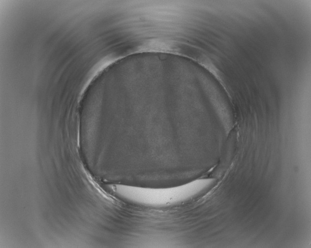 X0000078031123200611171932