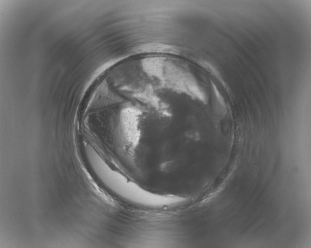 X0000078031125200611171932
