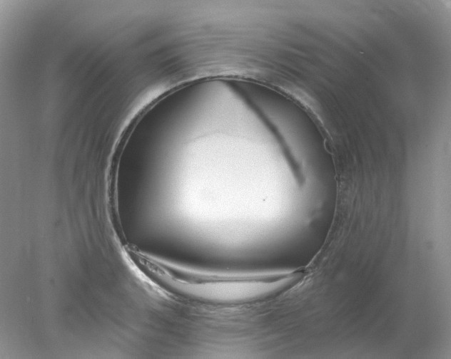 X0000078031135200611171932