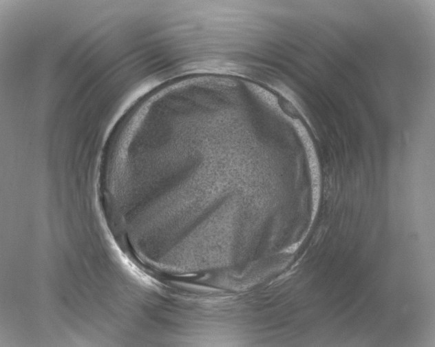 X0000078031139200611171932