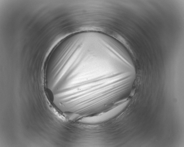 X0000078031140200611171932