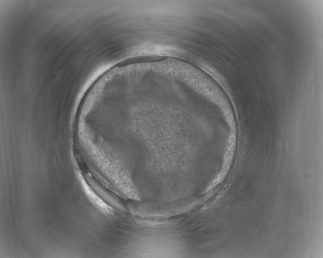 X0000078031152200611171932