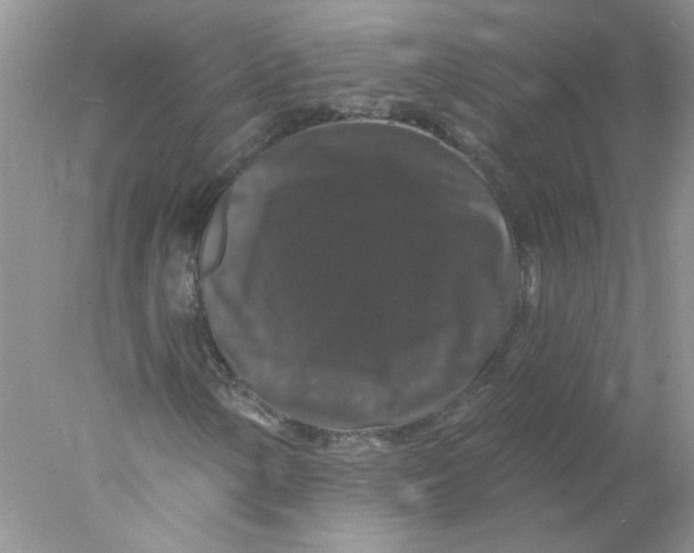 X0000078031154200611171931