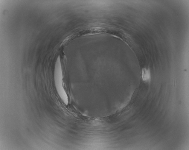 X0000078031155200611171931