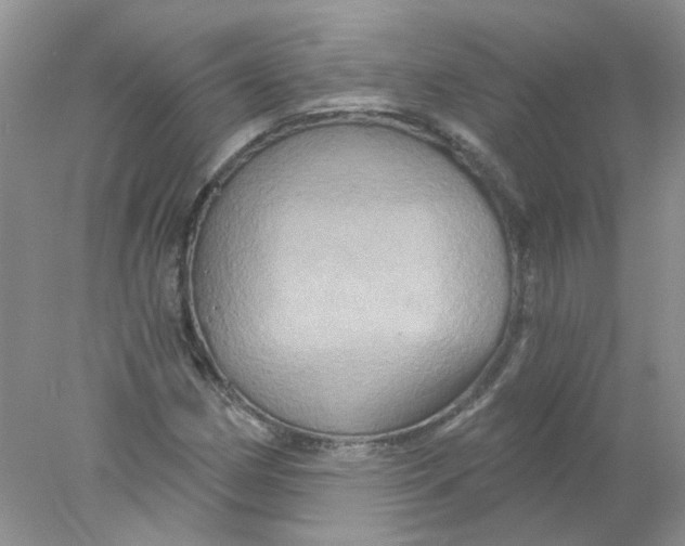 X0000078031162200611171931
