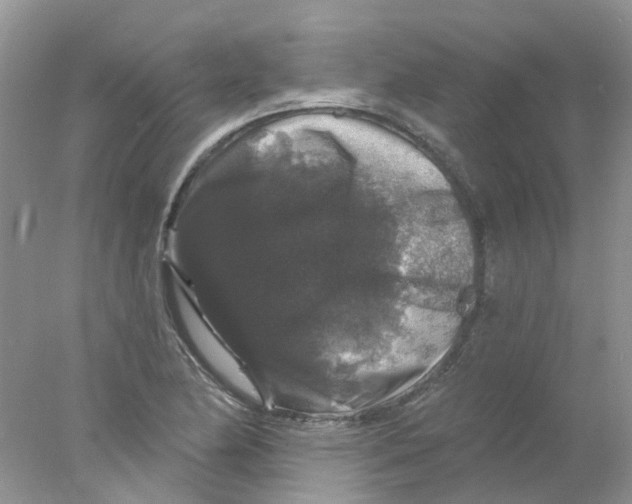 X0000078031174200611171931