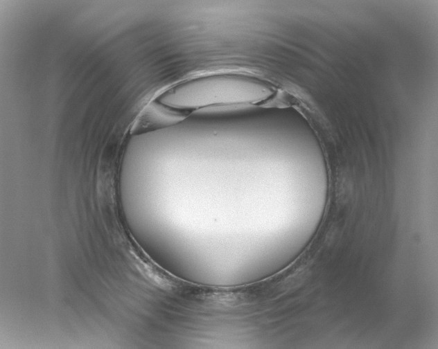X0000078031177200611171931