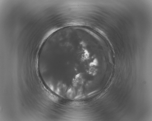 X0000078031179200611171931