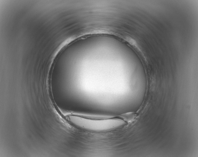 X0000078031181200611171931