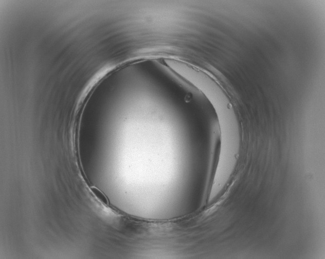 X0000078031196200611171931