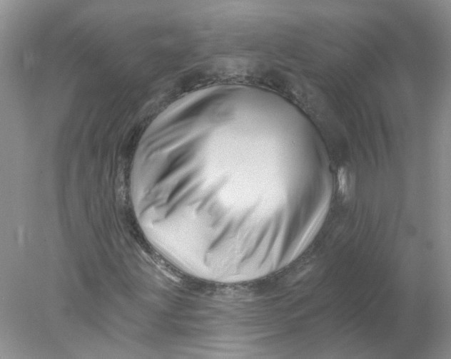 X0000078031203200611171930