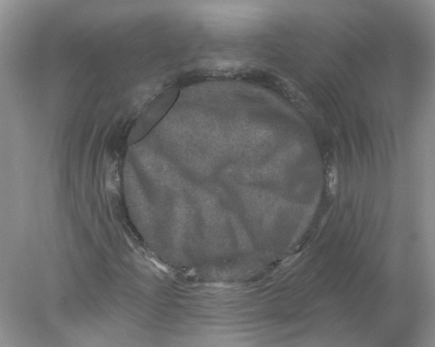 X0000078031204200611171930