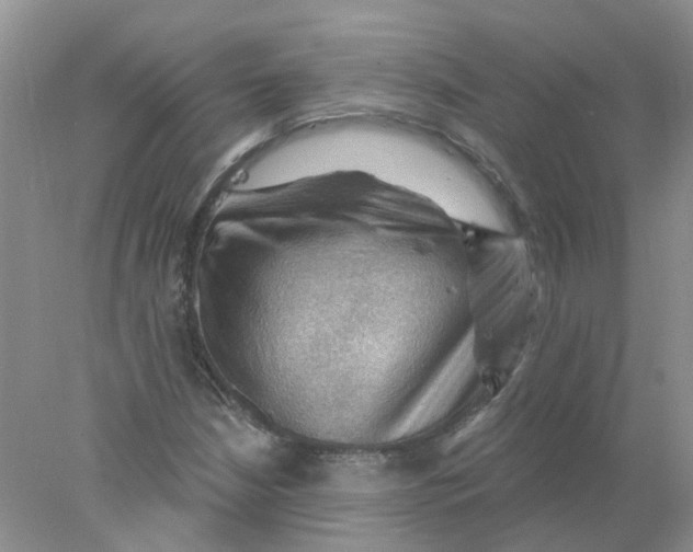 X0000078031210200611171930