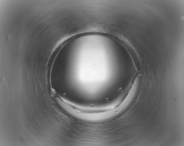 X0000078031222200611171930