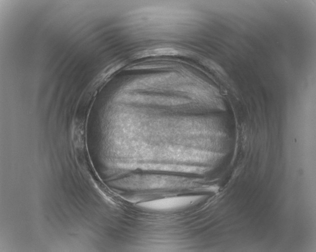 X0000078031225200611171930
