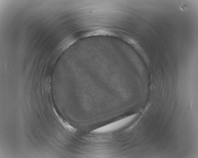X0000078031233200611171930