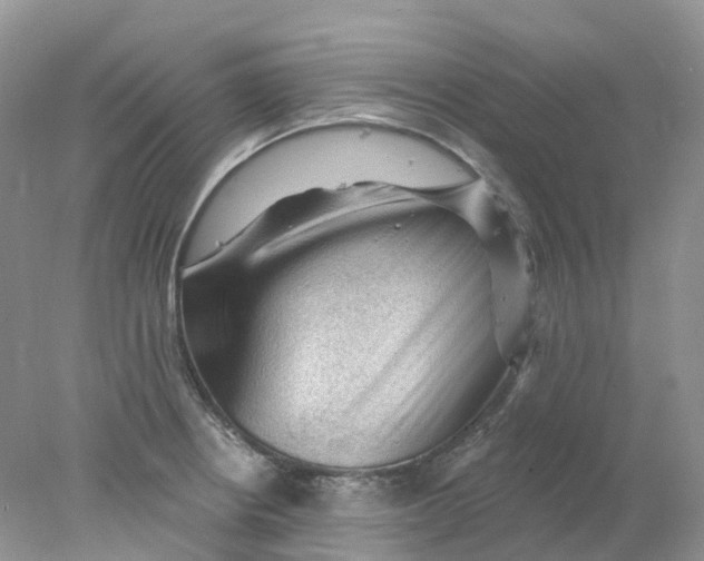 X0000078031234200611171930