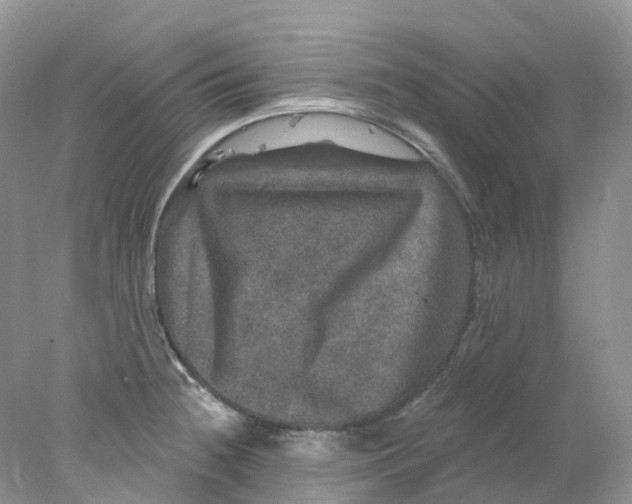 X0000078031236200611171930