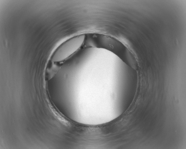 X0000078031238200611171930