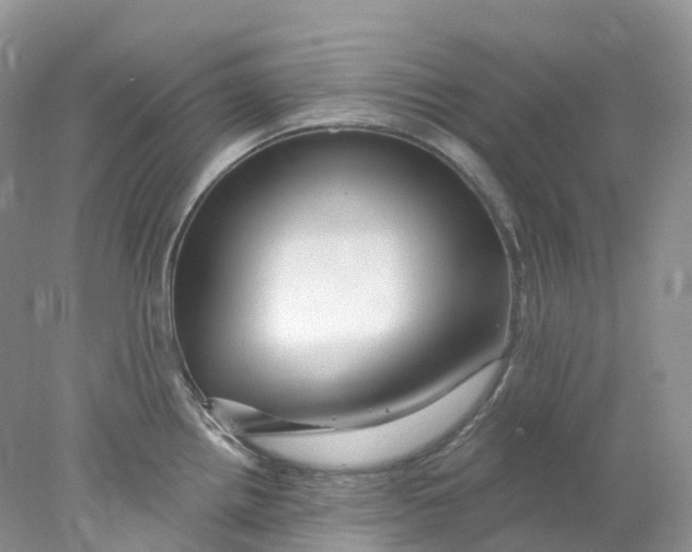 X0000078031242200611171930