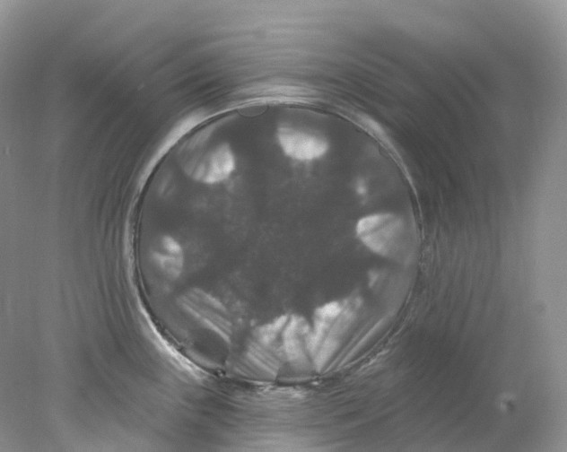 X0000078031243200611171930