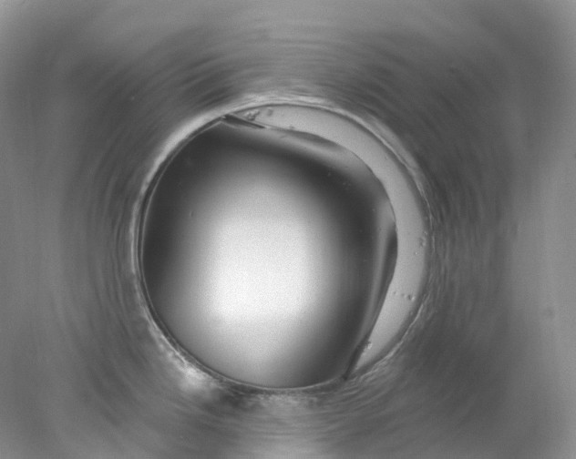 X0000078031246200611171930