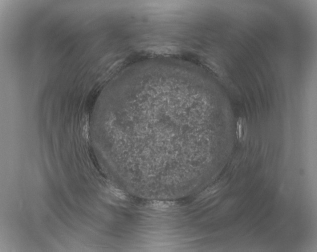 X0000078031251200611171930