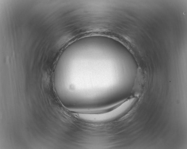 X0000078031257200611171930