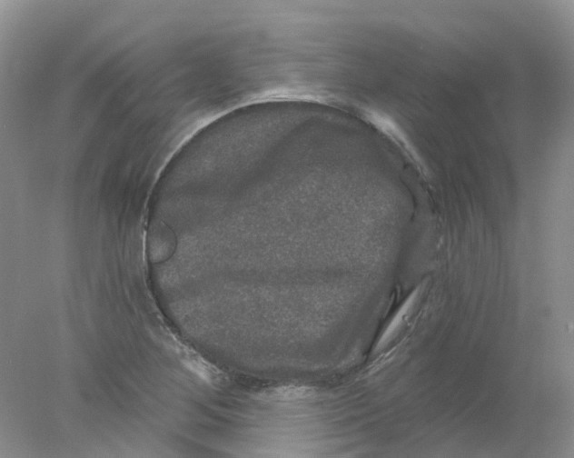 X0000078031268200611171929