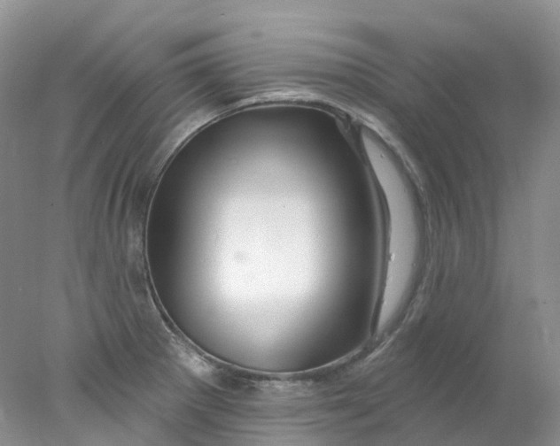 X0000078031281200611171929