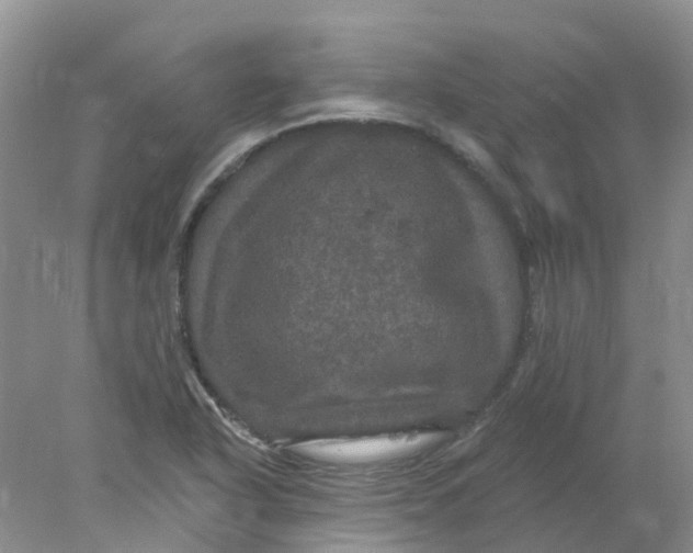 X0000078031318200611171928